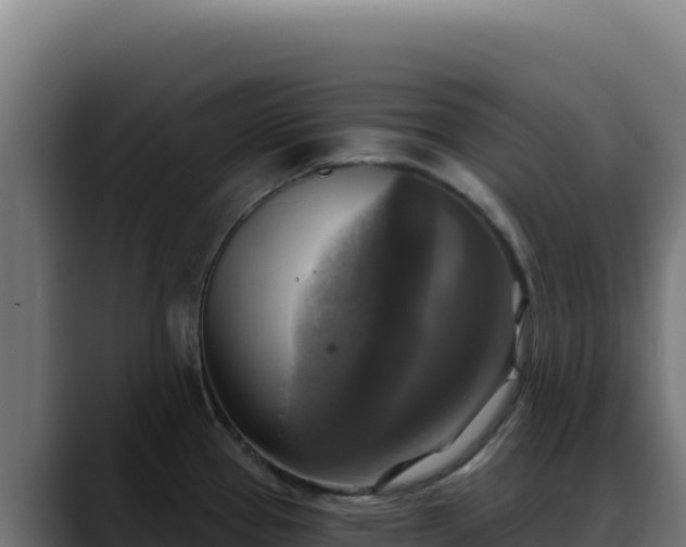 X0000088391337200705291400