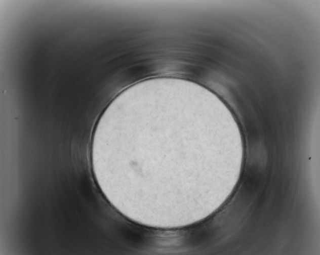 X0000088391338200705291400