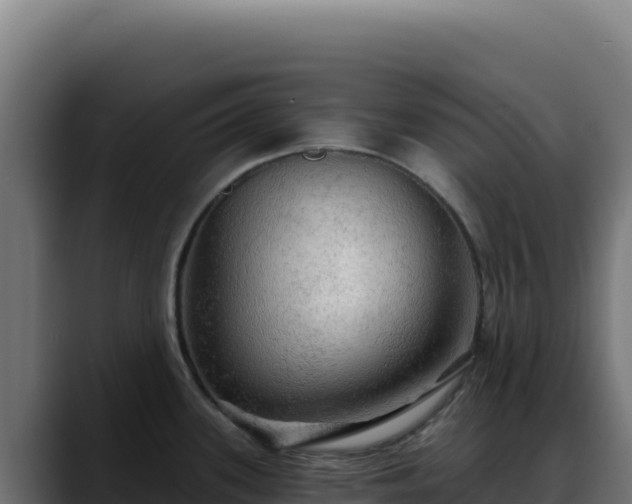 X0000088391339200705291400