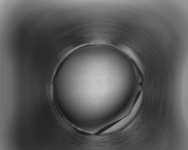 X0000088391340200705291400