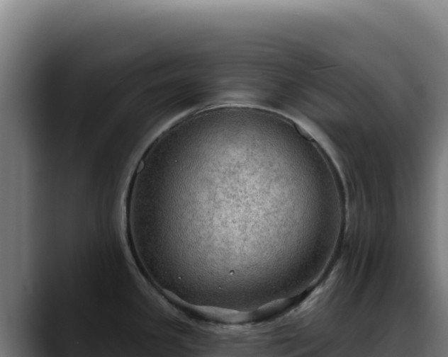 X0000088391341200705291400