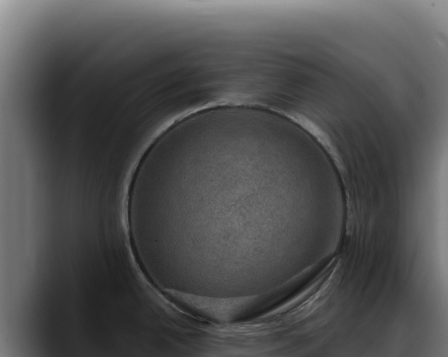 X0000088391342200705291400