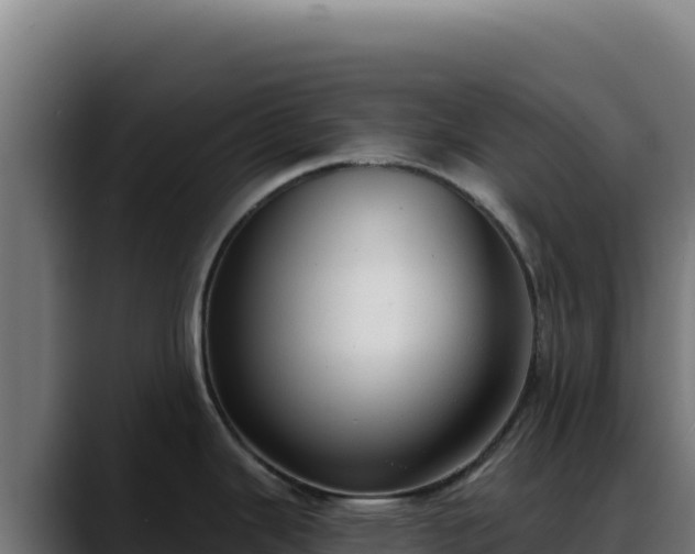 X0000088391343200705291400