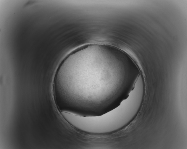 X0000088391344200705291400