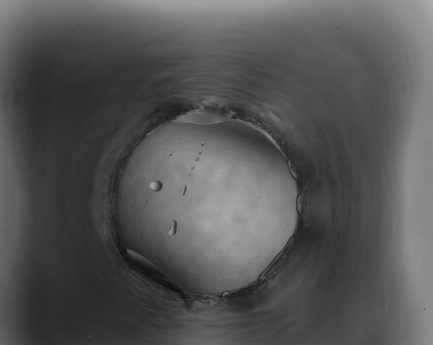 X0000088391345200705291400