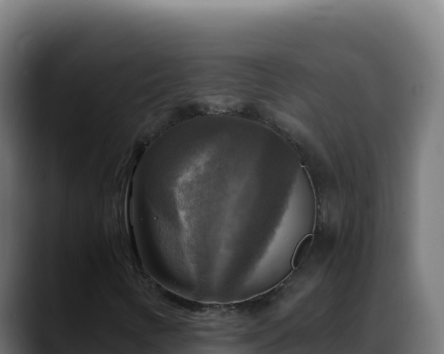 X0000088391346200705291400