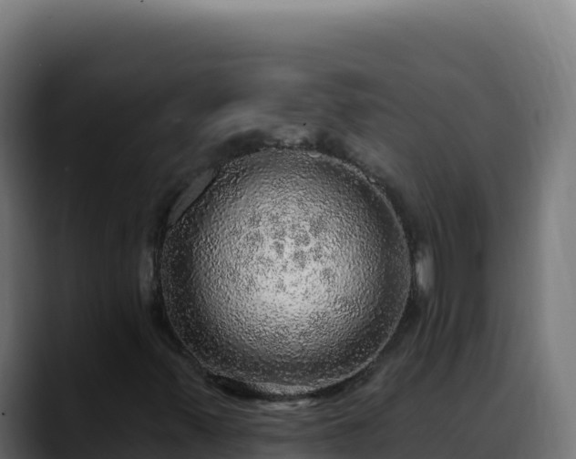 X0000088391347200705291400