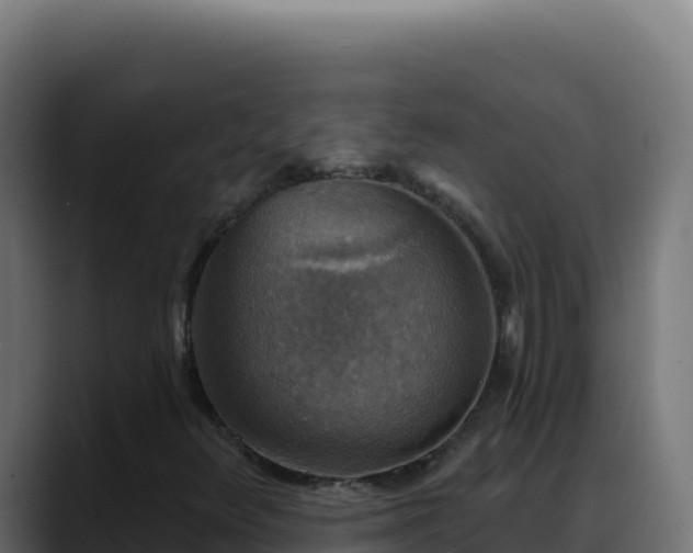 X0000088391348200705291400