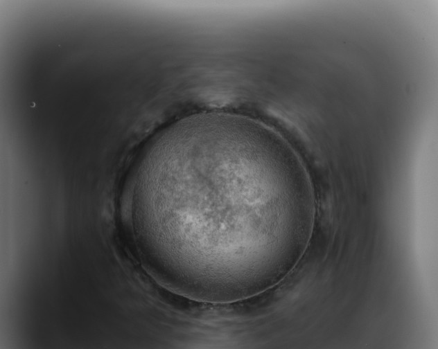 X0000088391349200705291400