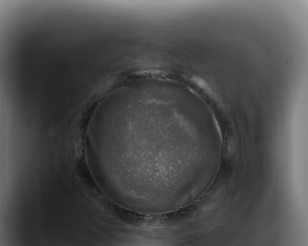 X0000088391350200705291400