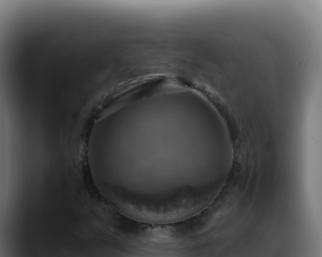 X0000088391351200705291400