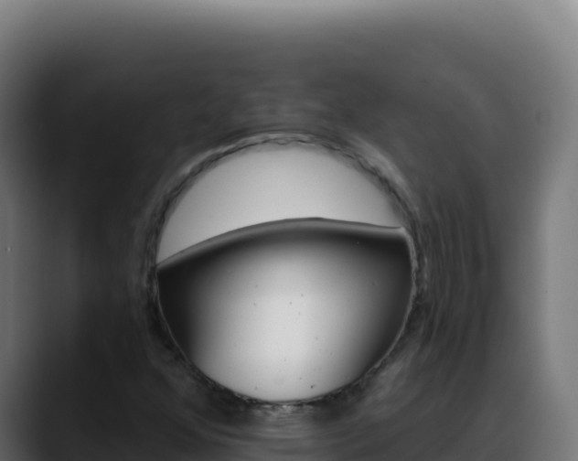 X0000088391352200705291400