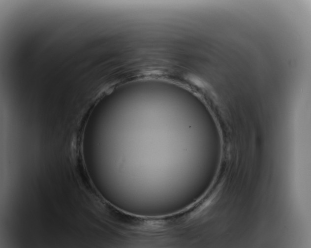 X0000088391353200705291400