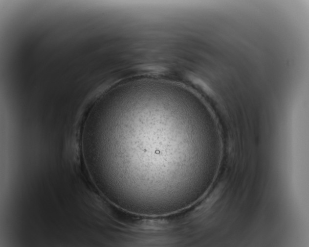 X0000088391354200705291400