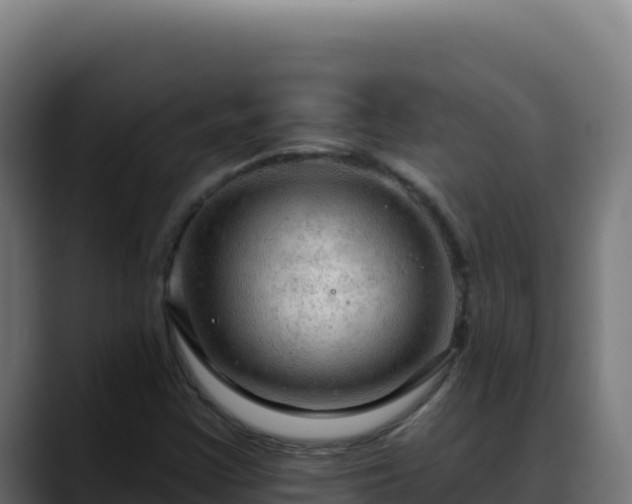 X0000088391355200705291400