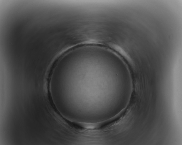 X0000088391356200705291359