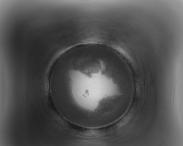 X0000088391358200705291359