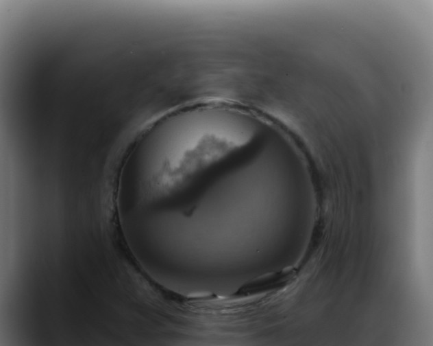 X0000088391359200705291359