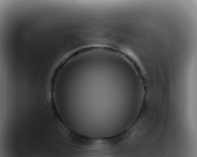 X0000088391360200705291359