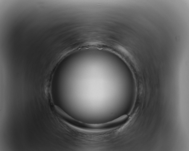 X0000088391361200705291359