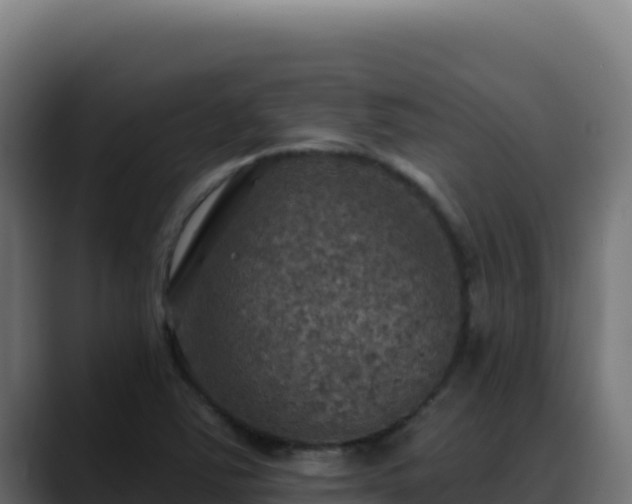 X0000088391363200705291359