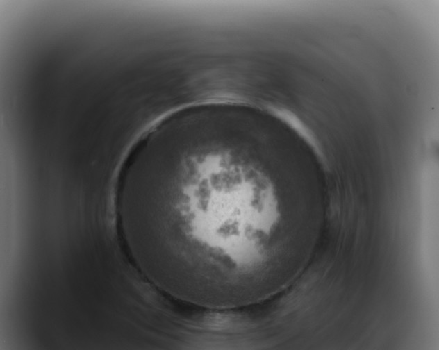 X0000088391364200705291359