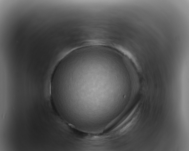 X0000088391365200705291359