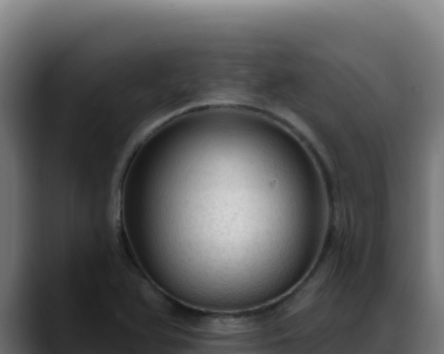 X0000088391366200705291359