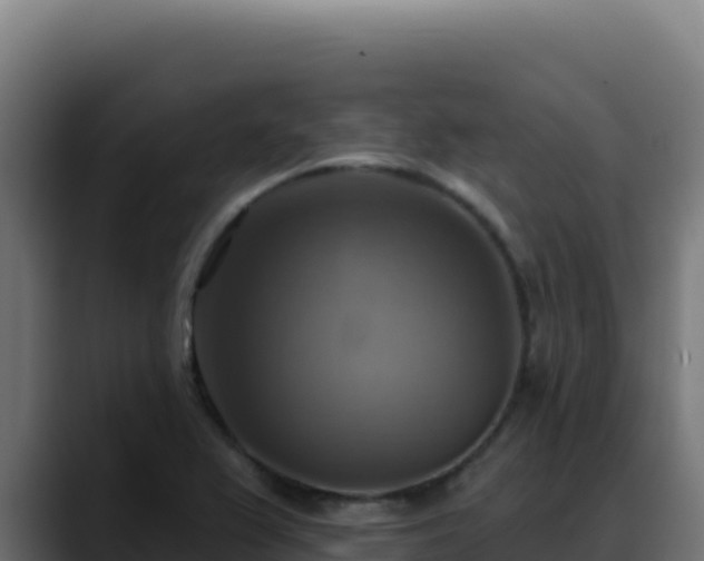 X0000088391367200705291359