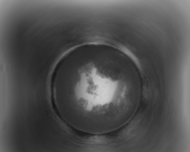 X0000088391368200705291359