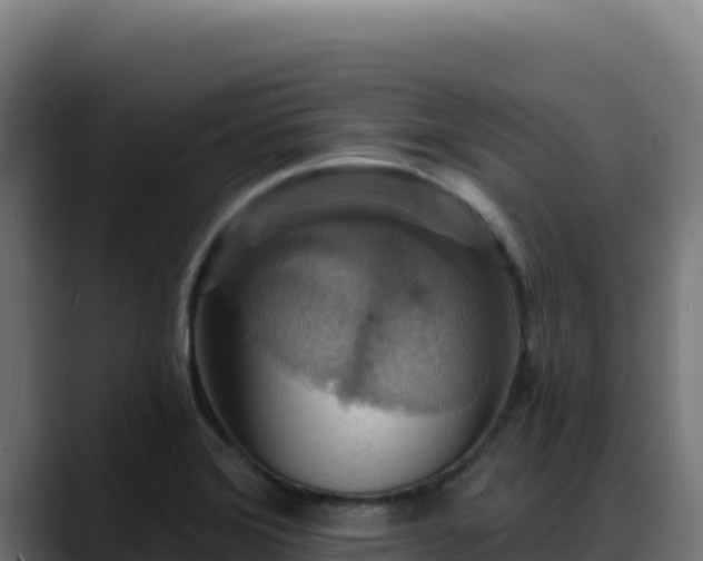 X0000088391372200705291359