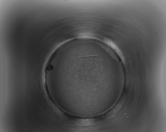 X0000088391376200705291359