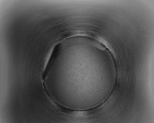 X0000088391377200705291359