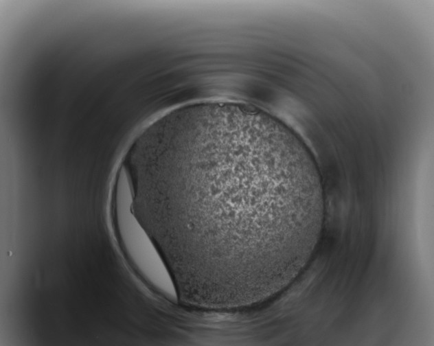 X0000088391379200705291359