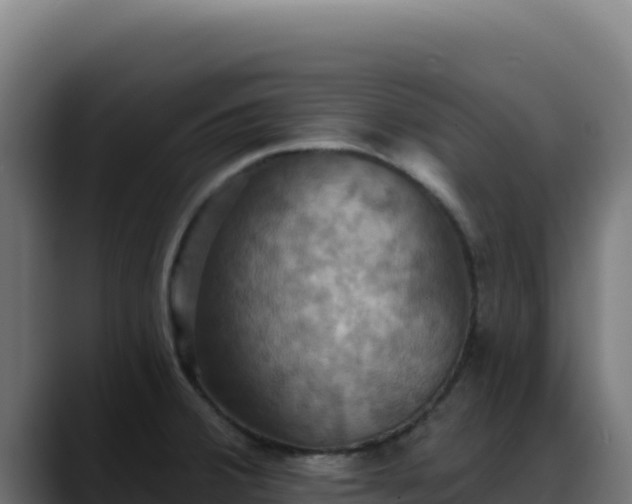 X0000088391380200705291359