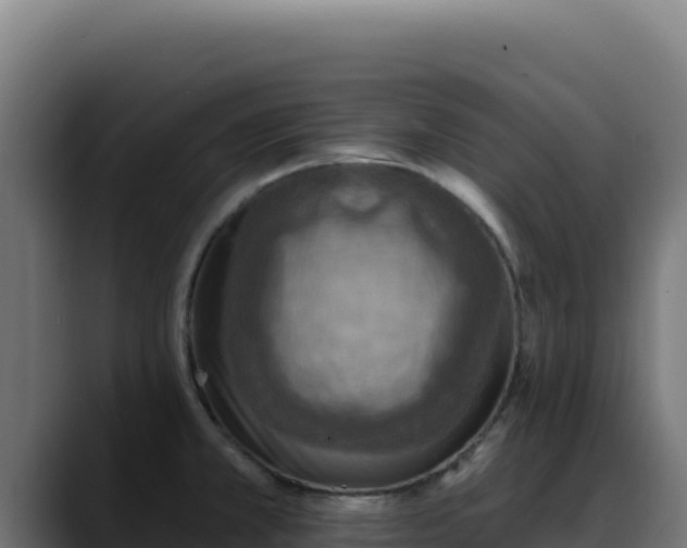 X0000088391381200705291359