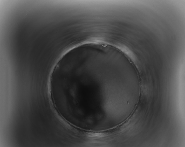 X0000088391382200705291359