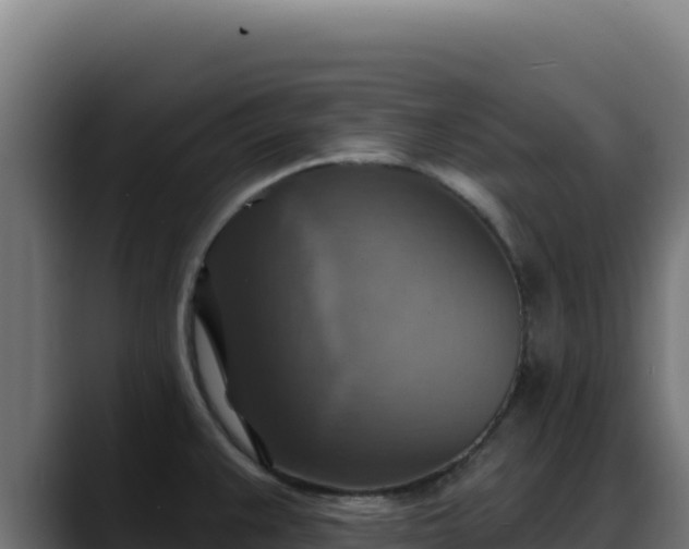 X0000088391383200705291359