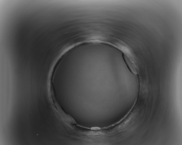 X0000088391384200705291359