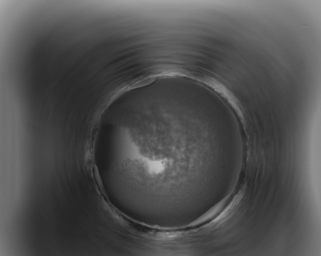 X0000088391385200705291359