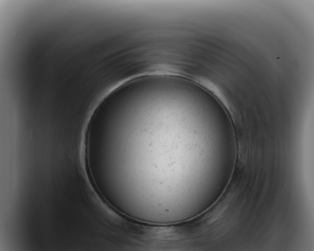 X0000088391387200705291359