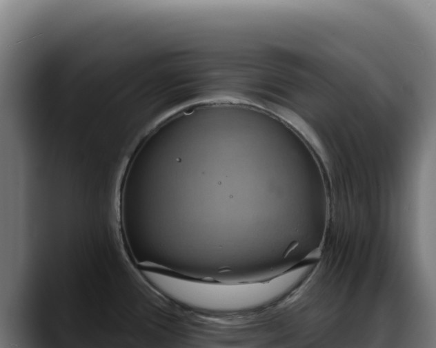 X0000088391388200705291359