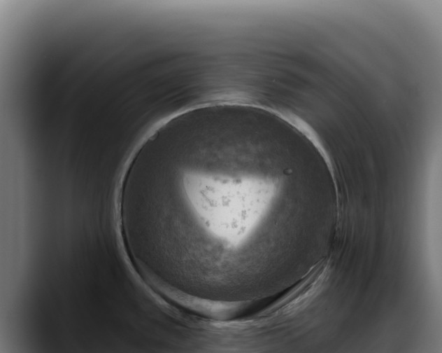 X0000088391389200705291359