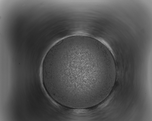 X0000088391391200705291359