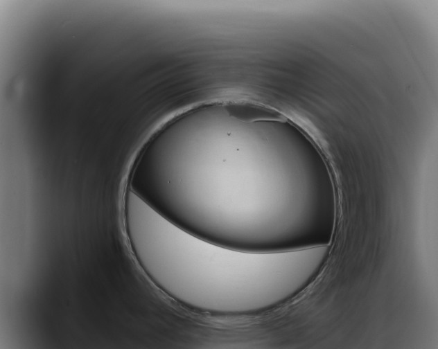 X0000088391392200705291359