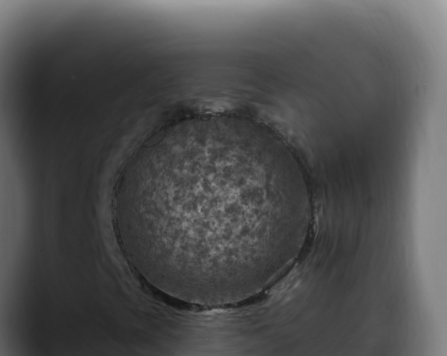 X0000088391393200705291358