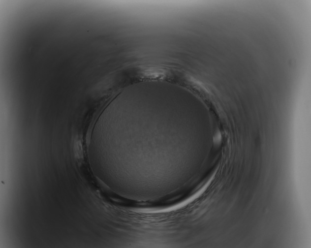 X0000088391394200705291358