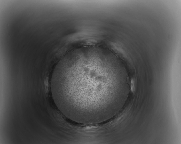 X0000088391395200705291358