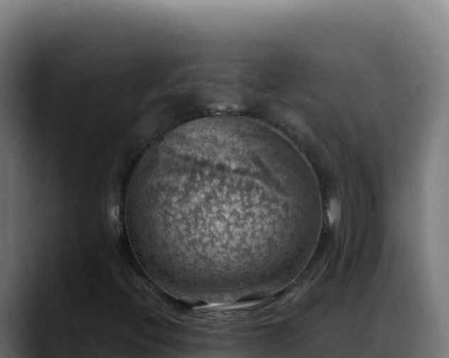 X0000088391396200705291358