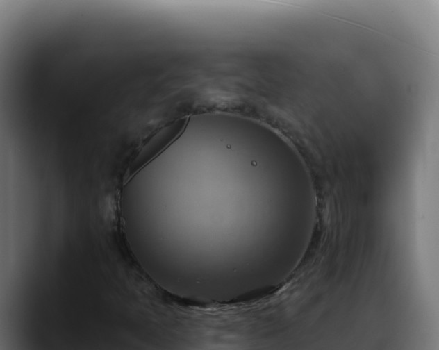 X0000088391397200705291358